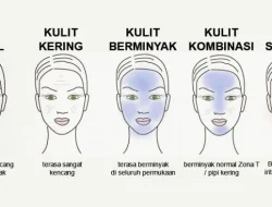 Panduan Lengkap Mengenal Jerawat: Memahami, Mencegah, dan Mengelola Masalah Kulit yang Umum