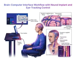 Memahami Cara Kerja Brain Computer Interface Neuralink: Dari Sinyal Otak hingga Perintah Digital