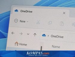 Penyebab dan Solusi: Kenapa OneDrive Memakan Kuota Internet Sangat Besar?